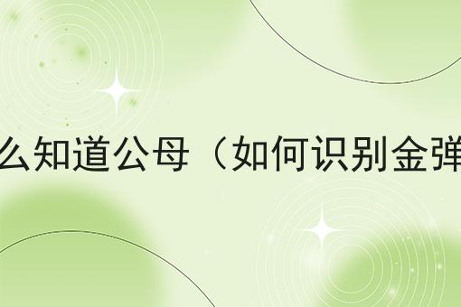 金弹子怎么知道公母（如何识别金弹子公母）