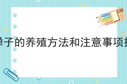 金弹子的养殖方法和注意事项播报