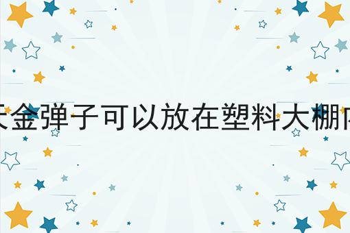 冬天金弹子可以放在塑料大棚内吗