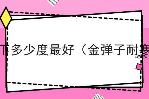 金弹子耐寒零下多少度最好（金弹子耐寒温度是多少）