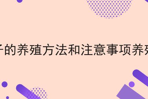 金弹子的养殖方法和注意事项养殖日记