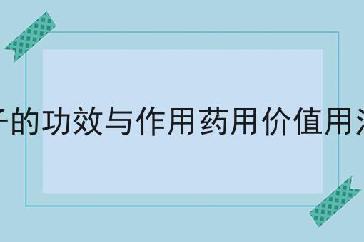 金弹子的功效与作用药用价值用法用量