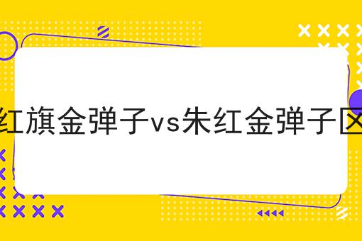 正红旗金弹子vs朱红金弹子区别