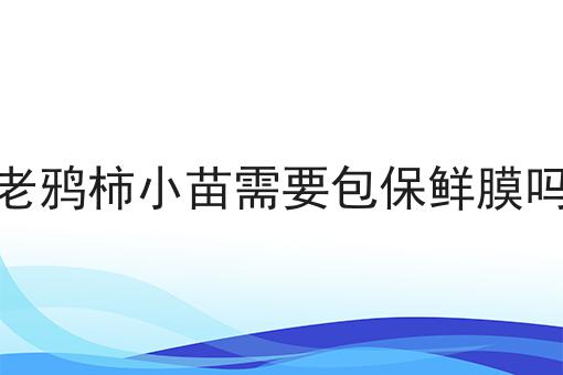 老鸦柿小苗需要包保鲜膜吗