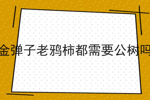 金弹子老鸦柿都需要公树吗