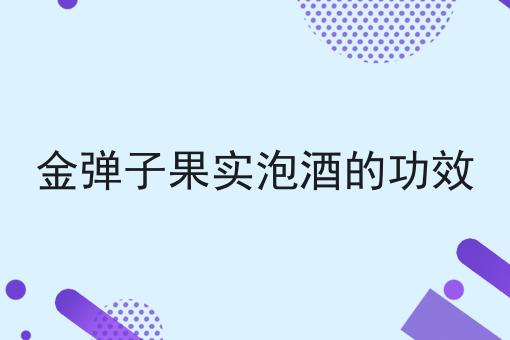 金弹子果实泡酒的功效