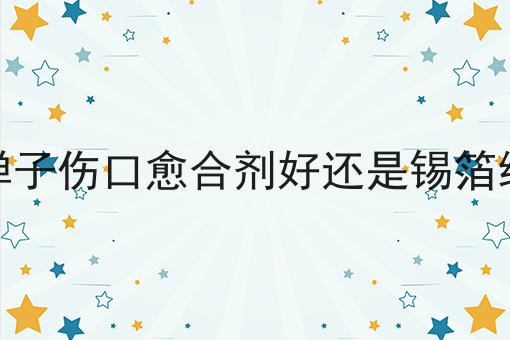 金弹子伤口愈合剂好还是锡箔纸好