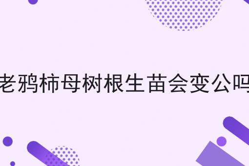 老鸦柿母树根生苗会变公吗