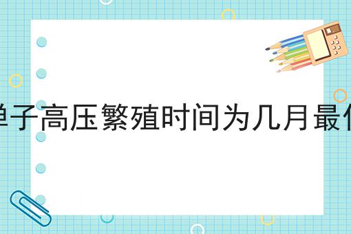 金弹子高压繁殖时间为几月最佳呢