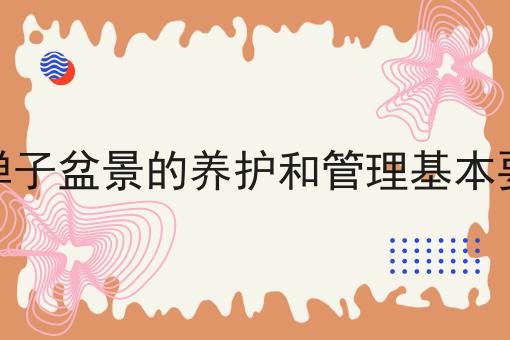 金弹子盆景的养护和管理基本要点