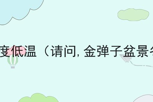 金弹子冬天能抗零下多少度低温（请问,金弹子盆景冬天可以耐零下多少度?）