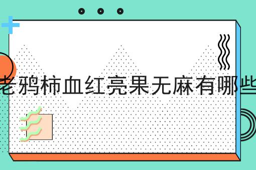 老鸦柿血红亮果无麻有哪些