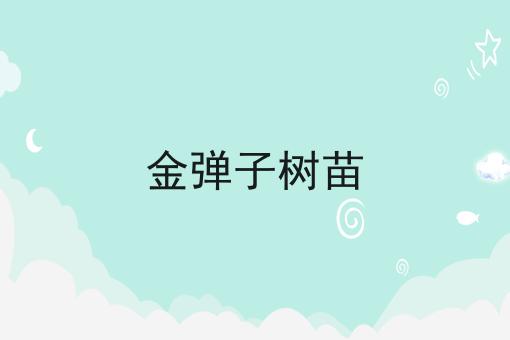 金弹子树苗