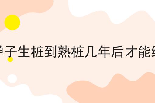 金弹子生桩到熟桩几年后才能结果