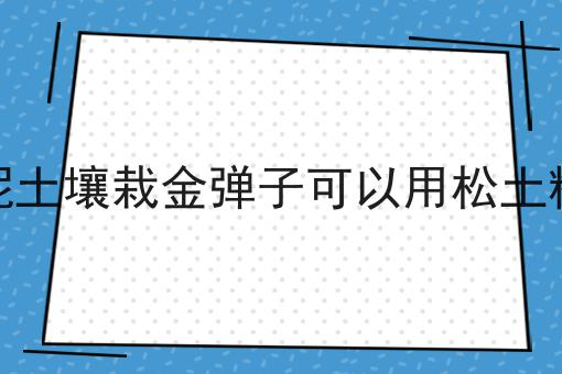 黄泥土壤栽金弹子可以用松土精吗