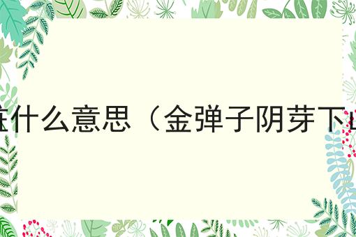 金弹子阴芽熟桩什么意思（金弹子阴芽下山桩栽培技术）