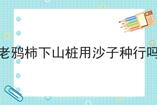 老鸦柿下山桩用沙子种行吗