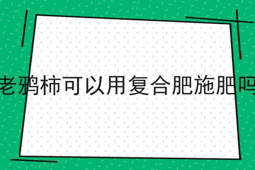 老鸦柿可以用复合肥施肥吗