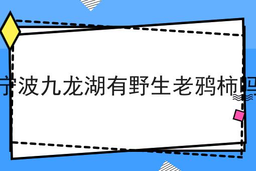 宁波九龙湖有野生老鸦柿吗