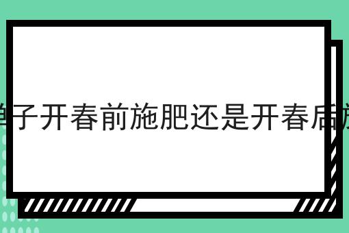 金弹子开春前施肥还是开春后施肥