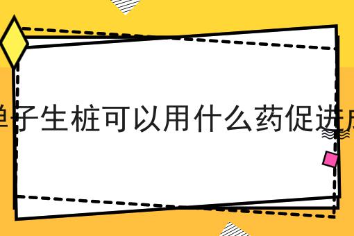 金弹子生桩可以用什么药促进成活