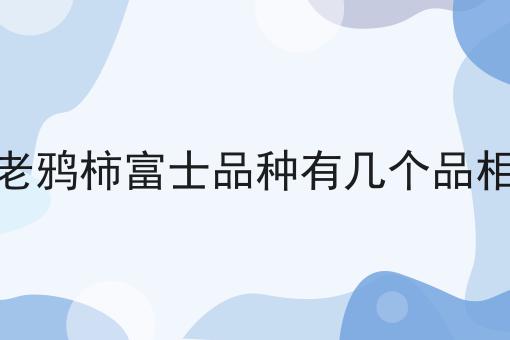 老鸦柿富士品种有几个品相