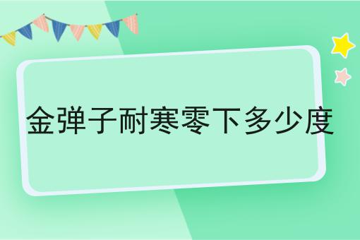 金弹子耐寒零下多少度