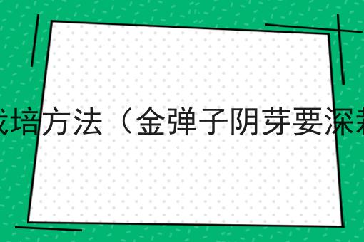 金弹子阴芽栽培方法（金弹子阴芽要深栽还是浅栽）