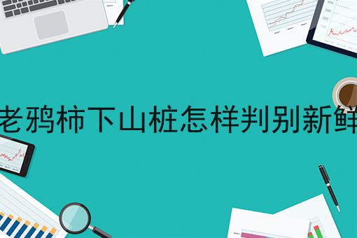 老鸦柿下山桩怎样判别新鲜