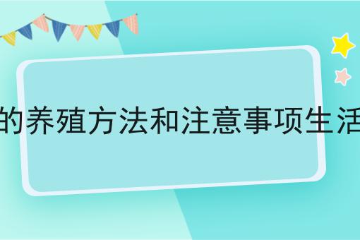 金弹子的养殖方法和注意事项生活万人迷