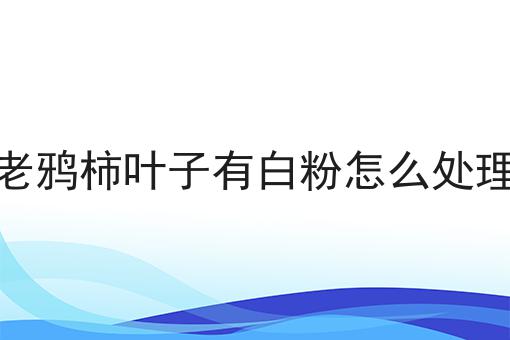 老鸦柿叶子有白粉怎么处理