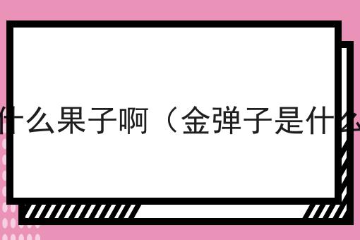 金弹子是什么果子啊（金弹子是什么果子啊）