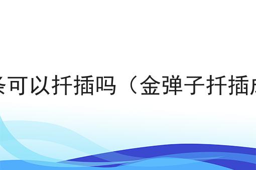 金弹子的枝条可以扦插吗（金弹子扦插成活率高吗）