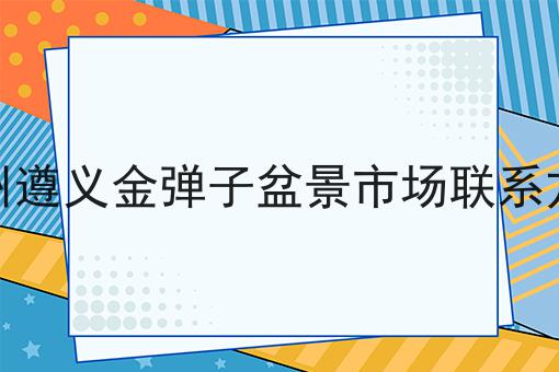 贵州遵义金弹子盆景市场联系方式