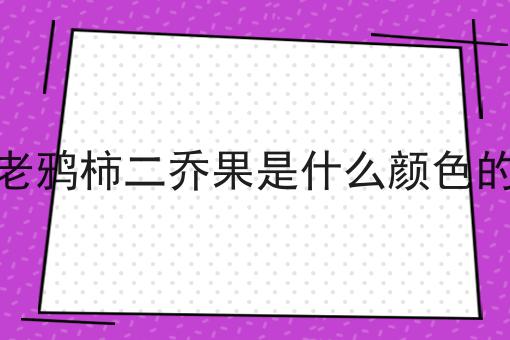 老鸦柿二乔果是什么颜色的