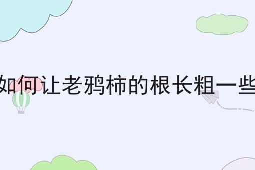 如何让老鸦柿的根长粗一些