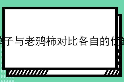 金弹子与老鸦柿对比各自的优缺点