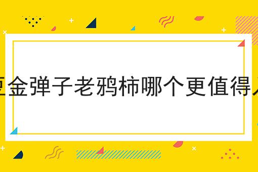 金豆金弹子老鸦柿哪个更值得入手