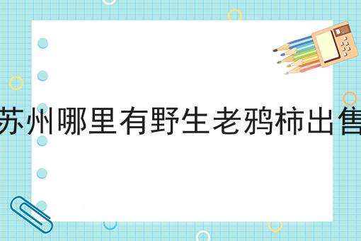 苏州哪里有野生老鸦柿出售