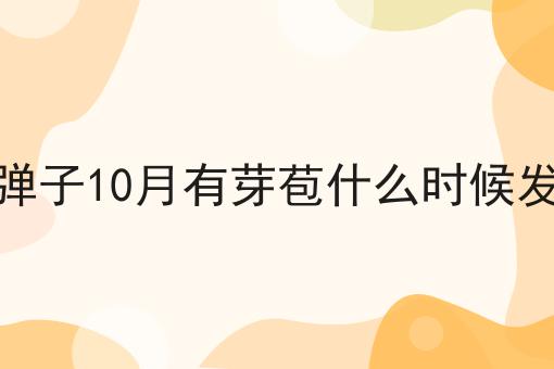 金弹子10月有芽苞什么时候发叶