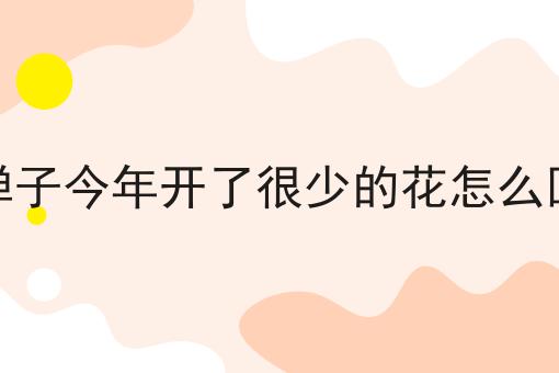 金弹子今年开了很少的花怎么回事