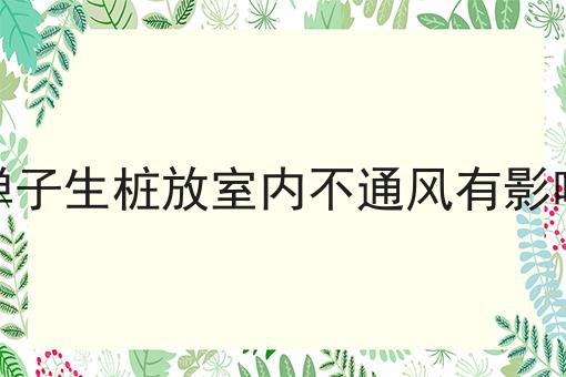 金弹子生桩放室内不通风有影响吗