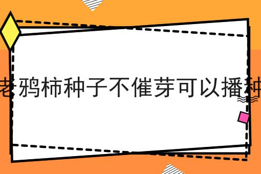 老鸦柿种子不催芽可以播种