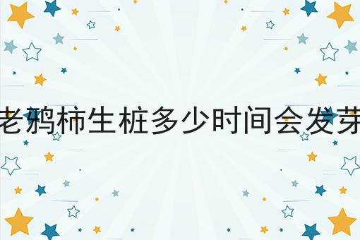 老鸦柿生桩多少时间会发芽