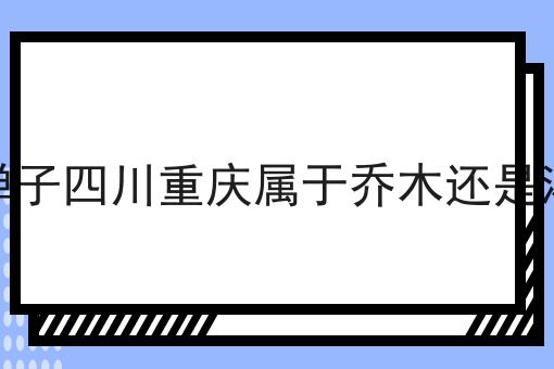 金弹子四川重庆属于乔木还是灌木