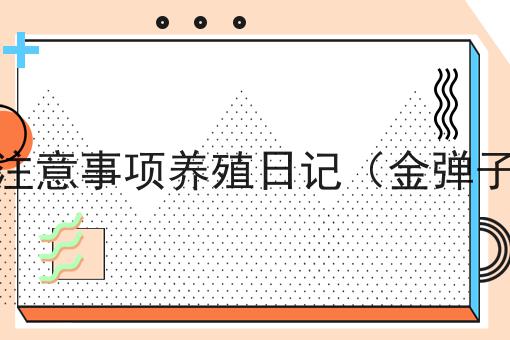 金弹子的养殖方法和注意事项养殖日记（金弹子的养殖方法和管理）