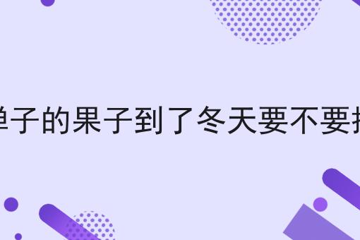 金弹子的果子到了冬天要不要摘掉