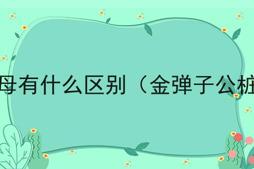 金弹子树桩公母有什么区别（金弹子公桩和母桩区别）