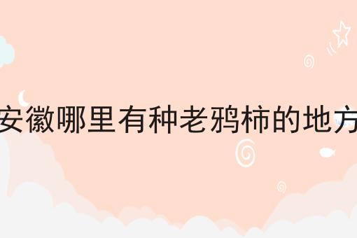 安徽哪里有种老鸦柿的地方