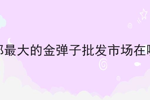 成都最大的金弹子批发市场在哪里